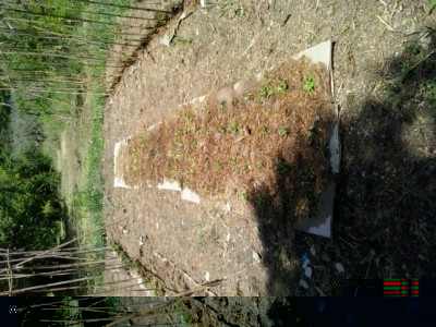 4.jpg (264.9 KiB) Osservato 1412 volte 4.jpg