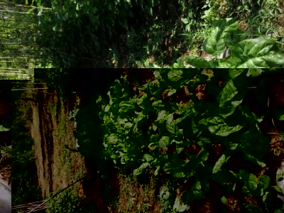 12.jpg (294.93 KiB) Osservato 1411 volte 12.jpg