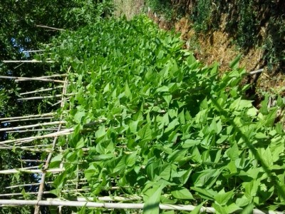 10.jpg (319.96 KiB) Osservato 1411 volte 10.jpg