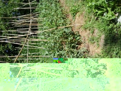 20150620_100212.jpg (339.36 KiB) Osservato 1410 volte 20150620_100212.jpg