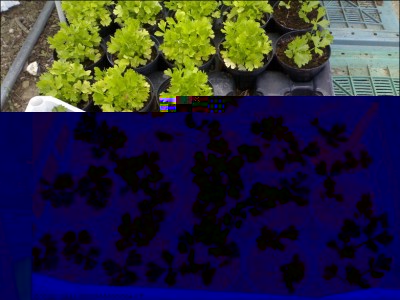 22062015aromatiche.jpg (288.77 KiB) Osservato 894 volte 22062015aromatiche.jpg