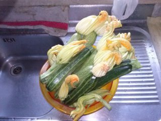 CAM01671 (FILEminimizer).jpg CAM01671 (FILEminimizer).jpg