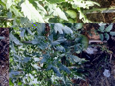 3.jpg (293.37 KiB) Osservato 1281 volte 3.jpg