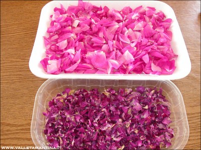 petali-rose.jpg (274.57 KiB) Osservato 846 volte petali-rose.jpg