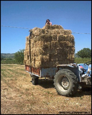 carrata-fieno.jpg (123.97 KiB) Osservato 846 volte carrata-fieno.jpg