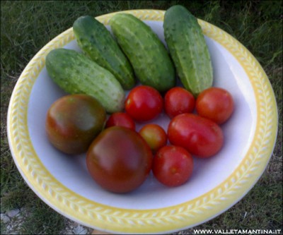 26062015pomodori-cetriolini.jpg (156.24 KiB) Osservato 791 volte 26062015pomodori-cetriolini.jpg