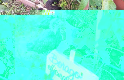 20150627_082824.jpg (250.29 KiB) Osservato 646 volte 20150627_082824.jpg