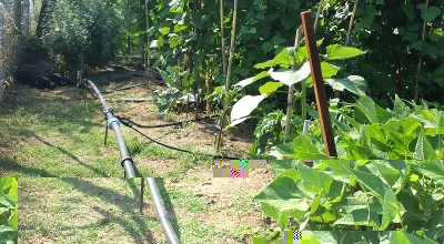 20150703_101645.jpg (264.03 KiB) Osservato 646 volte 20150703_101645.jpg