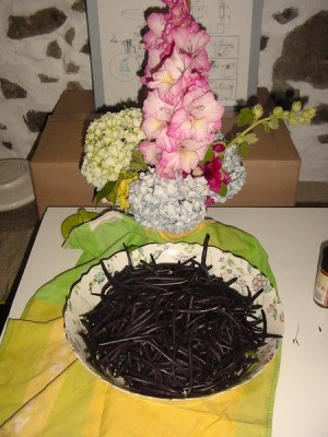 fagiolini.JPG (103.9 KiB) Osservato 958 volte fagiolini.JPG