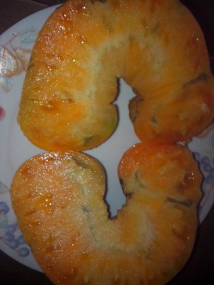 IMG_20150705_143754.jpg (145.97 KiB) Osservato 710 volte IMG_20150705_143754.jpg