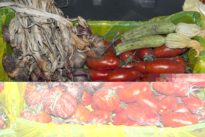 DSC03446.jpg (185.79 KiB) Osservato 998 volte DSC03446.jpg