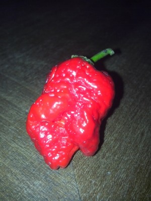 IMG_20150711_165110.jpg (167.33 KiB) Osservato 634 volte IMG_20150711_165110.jpg