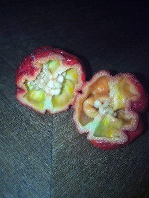 IMG_20150711_165218.jpg (178.65 KiB) Osservato 634 volte IMG_20150711_165218.jpg