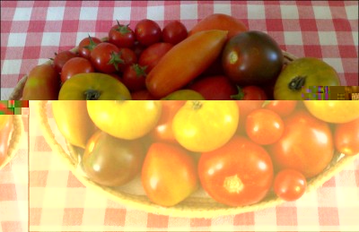 15072015pomodori.jpg (152.12 KiB) Osservato 645 volte 15072015pomodori.jpg