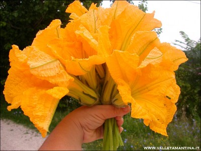 zucchine-fiori-r.jpg (191.44 KiB) Osservato 843 volte zucchine-fiori-r.jpg