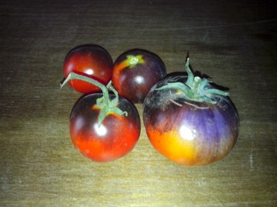 IMG_20150718_140952.jpg (174.92 KiB) Osservato 709 volte IMG_20150718_140952.jpg