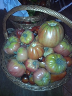 IMG_20150718_131355.jpg (136.79 KiB) Osservato 688 volte IMG_20150718_131355.jpg