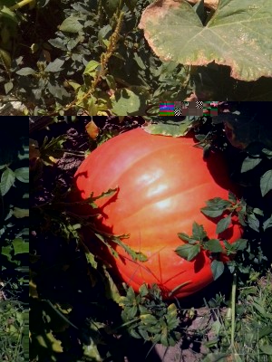 IMG_20150718_123349.jpg (234.94 KiB) Osservato 688 volte IMG_20150718_123349.jpg