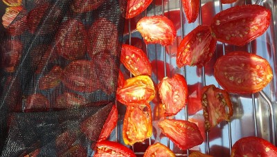 20150724_115700.jpg (249.05 KiB) Osservato 644 volte 20150724_115700.jpg