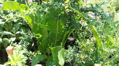 91.jpg (272.3 KiB) Osservato 642 volte 91.jpg