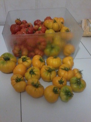 20150729_012001.jpg (134.64 KiB) Osservato 1058 volte 20150729_012001.jpg