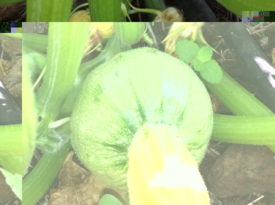 20150724_112756.jpg (205.34 KiB) Osservato 853 volte 20150724_112756.jpg