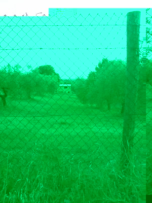 20150802_202751.jpg (217.15 KiB) Osservato 999 volte 20150802_202751.jpg