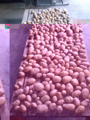 CAM01750 (FILEminimizer).jpg (34.38 KiB) Osservato 847 volte CAM01750 (FILEminimizer).jpg