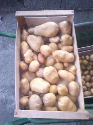 CAM01751 (FILEminimizer).jpg (28.38 KiB) Osservato 847 volte CAM01751 (FILEminimizer).jpg