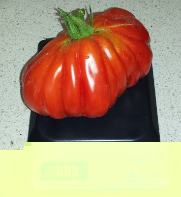 20150811_094831.jpg (218.61 KiB) Osservato 760 volte 20150811_094831.jpg