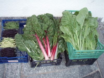 003 (640x480).jpg (255.11 KiB) Osservato 897 volte 003 (640x480).jpg