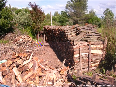 legnaia-2014-2015.JPG (348.79 KiB) Osservato 779 volte legnaia-2014-2015.JPG
