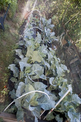 DSC04589.jpg (210.85 KiB) Osservato 762 volte DSC04589.jpg