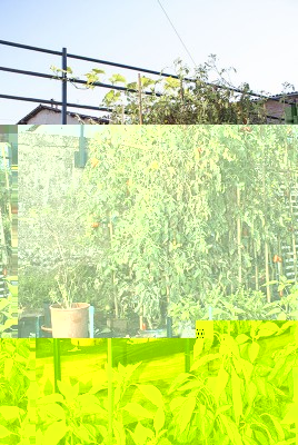 DSC04591.jpg (214.18 KiB) Osservato 762 volte DSC04591.jpg