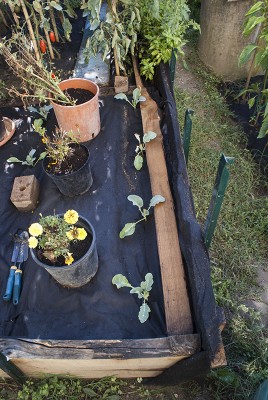 DSC04592.jpg (195.44 KiB) Osservato 762 volte DSC04592.jpg