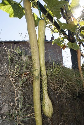 DSC04593.jpg (199.97 KiB) Osservato 762 volte DSC04593.jpg