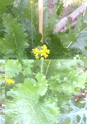 265.jpg (258.22 KiB) Osservato 1056 volte 265.jpg