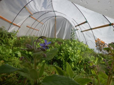 DSCN5048.JPG (110.38 KiB) Osservato 1740 volte DSCN5048.JPG