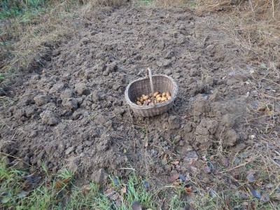 DSCN5057.JPG (207.83 KiB) Osservato 1740 volte DSCN5057.JPG