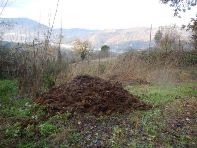 DSCN5058.JPG (145.06 KiB) Osservato 1740 volte DSCN5058.JPG