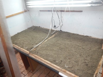 DSCN5408.JPG (101.38 KiB) Osservato 1592 volte DSCN5408.JPG