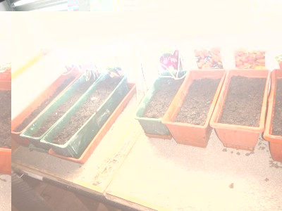 DSCN5411.JPG (98.82 KiB) Osservato 1592 volte DSCN5411.JPG