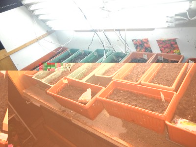 DSCN5416-001.JPG (87.63 KiB) Osservato 1592 volte DSCN5416-001.JPG