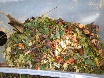 DSCN4760.JPG (149.94 KiB) Osservato 800 volte DSCN4760.JPG