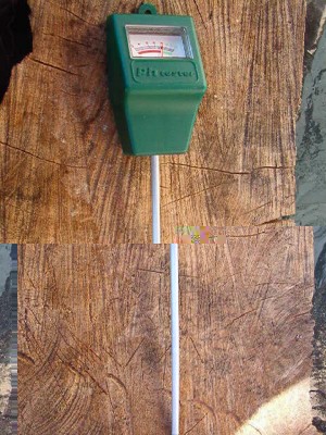 IM003390.JPG (87.96 KiB) Osservato 835 volte IM003390.JPG