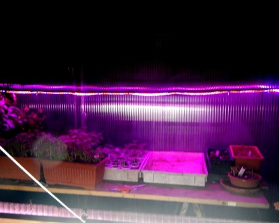 DSCN5685.JPG (77.89 KiB) Osservato 754 volte DSCN5685.JPG