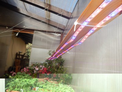 DSCN5670.JPG (96.22 KiB) Osservato 754 volte DSCN5670.JPG