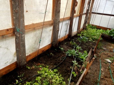 DSCN5695.JPG (162.23 KiB) Osservato 753 volte DSCN5695.JPG