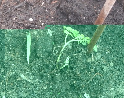 DSCN5694.JPG (181.02 KiB) Osservato 753 volte DSCN5694.JPG