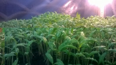 IMG-20160212-WA0001.jpg (127.93 KiB) Osservato 691 volte IMG-20160212-WA0001.jpg